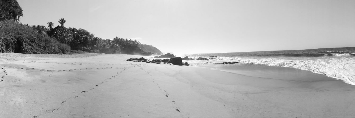 Alain Aubert banner