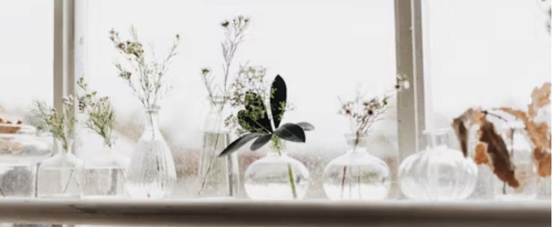 JaylanGourdet's profile banner image