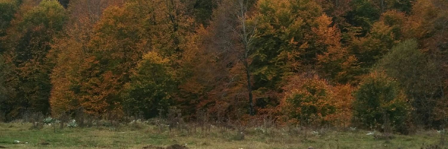 rybir389's profile banner image