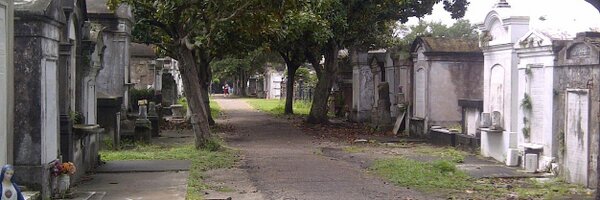 SarahHSalter Profile Banner