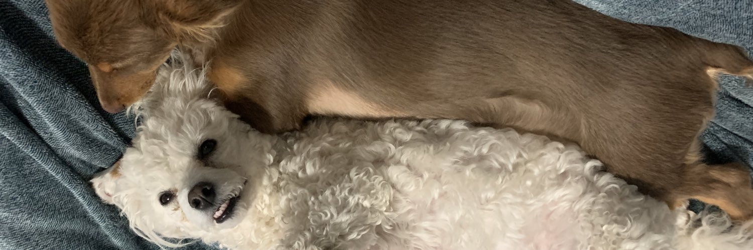 itskylabugg's profile banner image