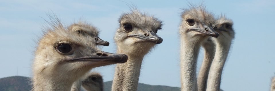 georgettementink banner