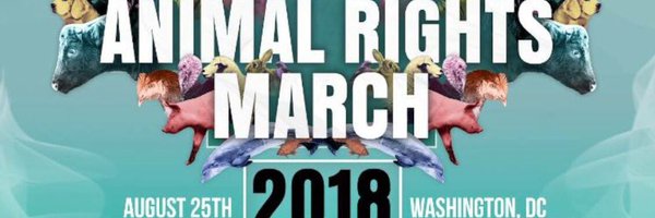 ConnorWeakley Profile Banner