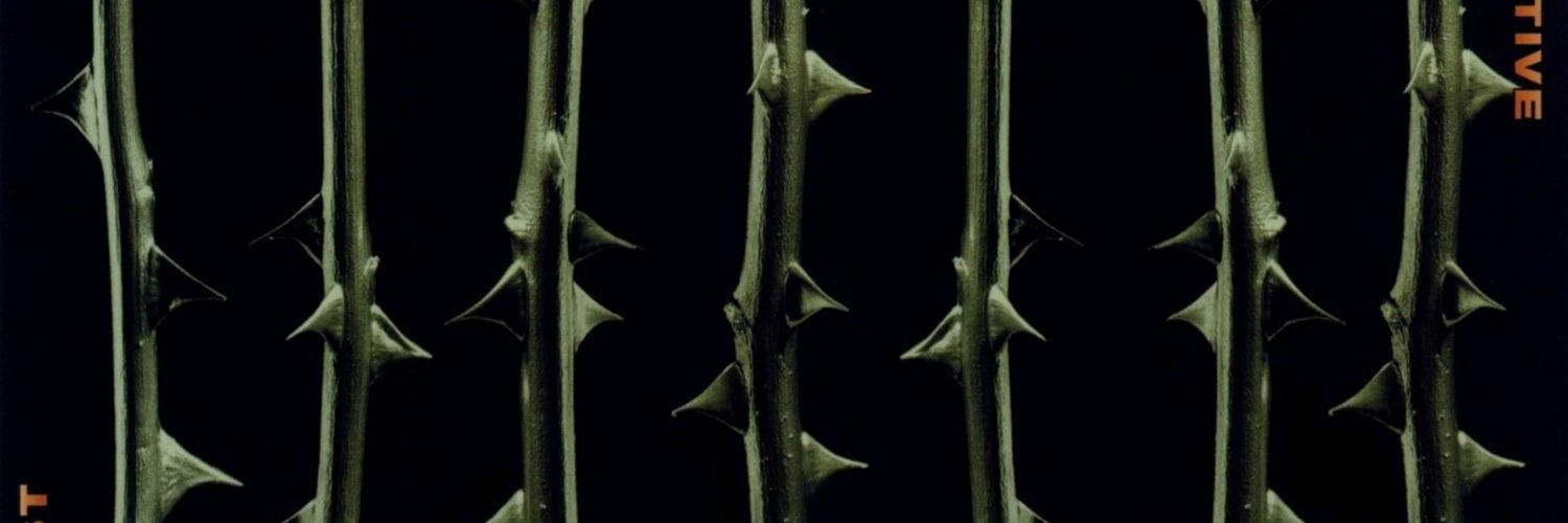 florrrccc's profile banner image