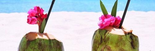 sandrahumer's profile banner image