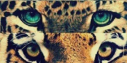 itzeflo01's profile banner image