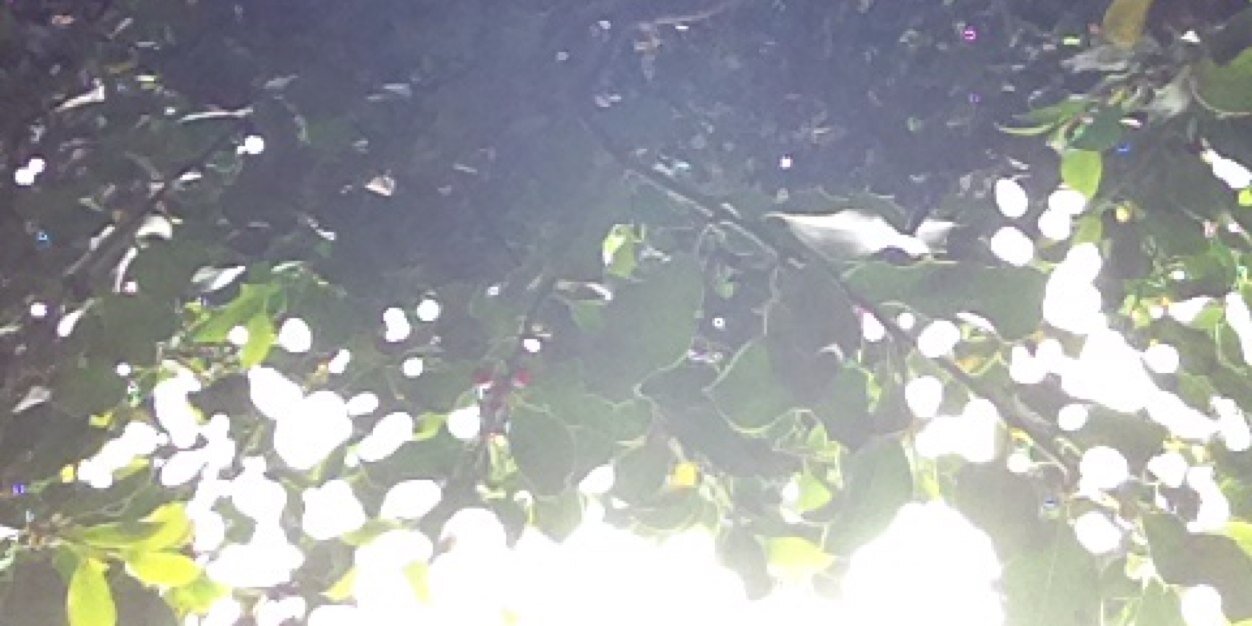 True_Truse's profile banner image
