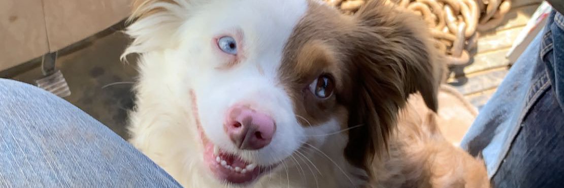 ashlyn4c's profile banner image