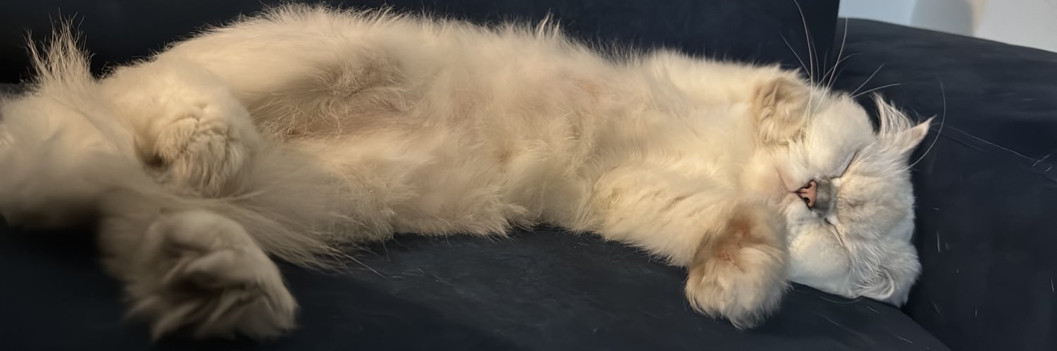 mrspuredelight's profile banner image