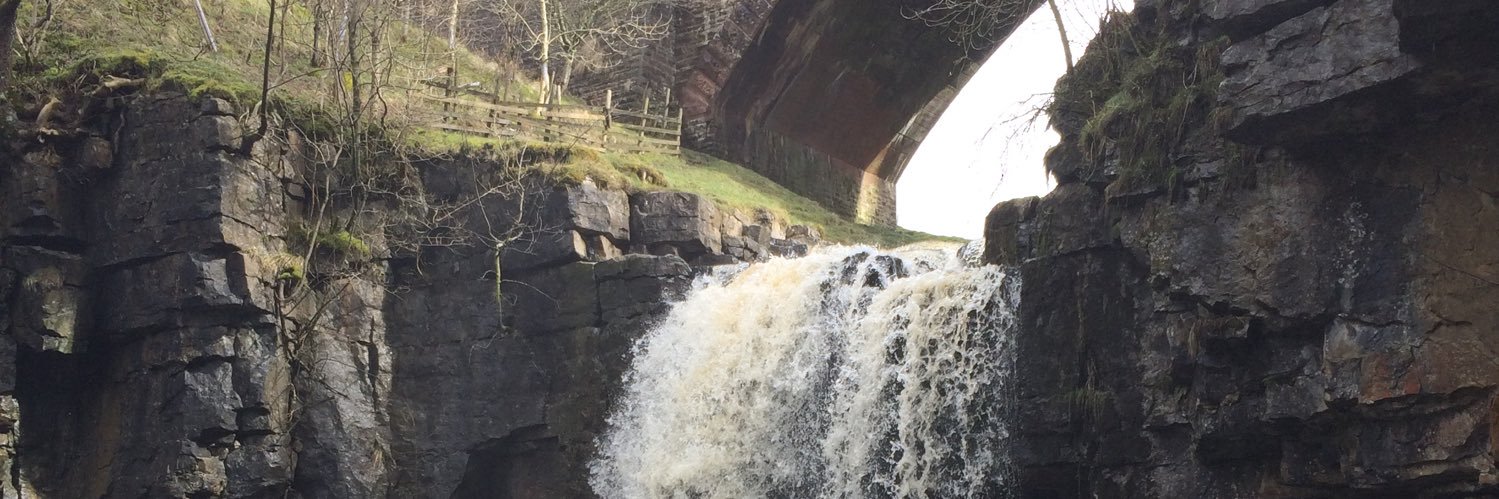 🔸Simone 🔸 banner