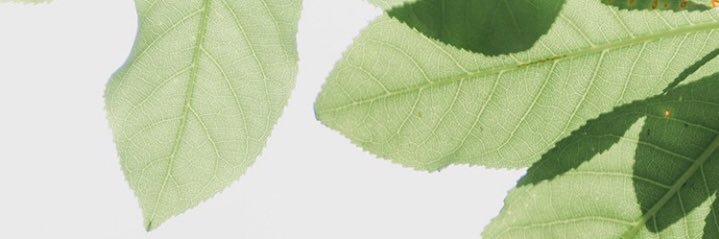 gyulqueen's profile banner image