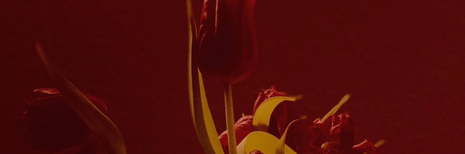 Mx. Faylita Hicks banner