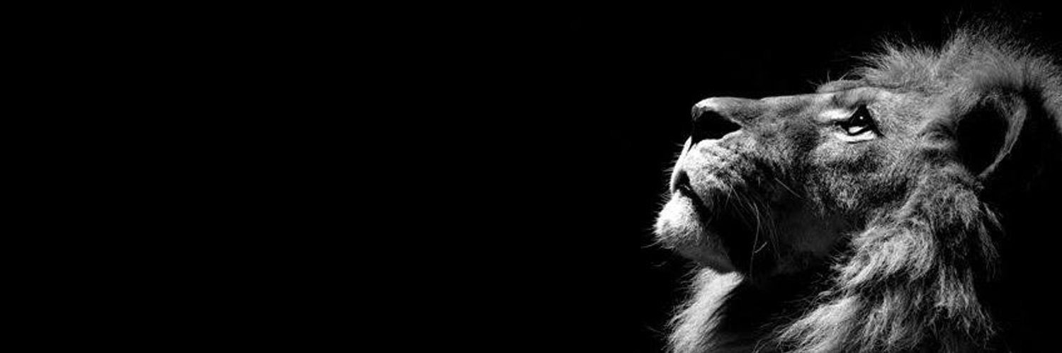 KING MEMPHIS 🦁🇫🇷🇮🇹 banner