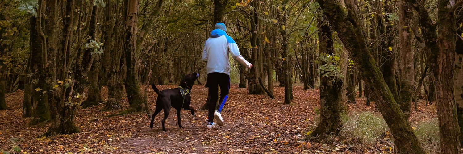 Amy🏴󠁧󠁢󠁷󠁬󠁳󠁿 banner