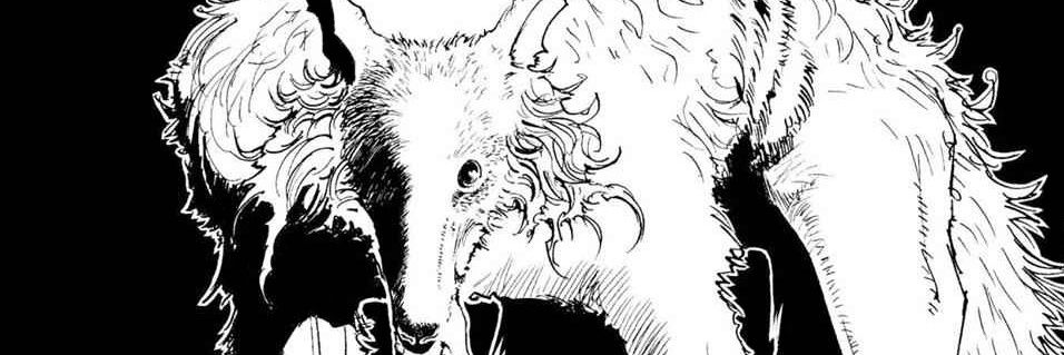 wah_ao's profile banner image