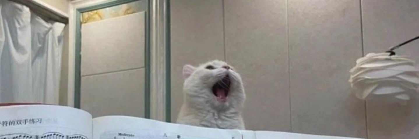 nooneeverknown's profile banner image