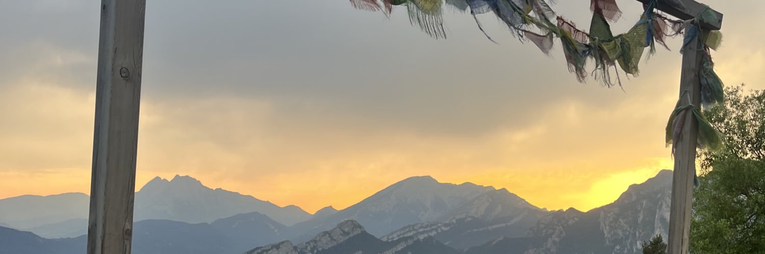 Noel Carbonell Bosch banner