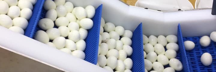 BumbleHoleFoods's profile banner image