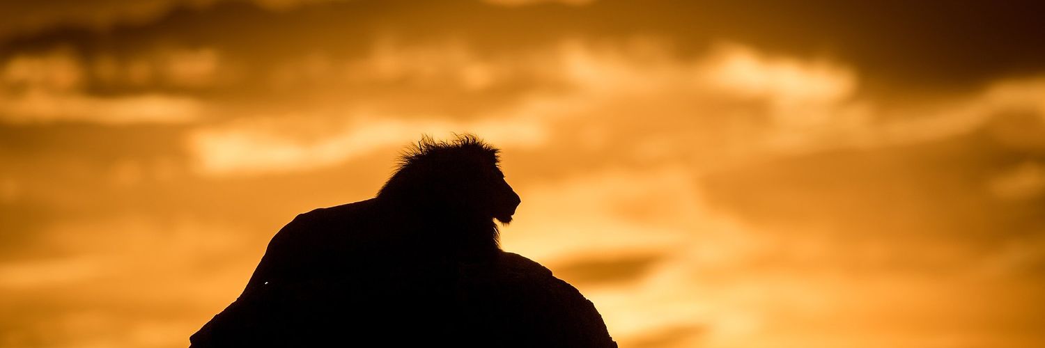 NoahKulei's profile banner image