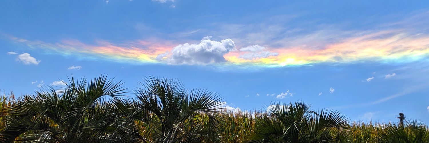 Grazy_Conce's profile banner image