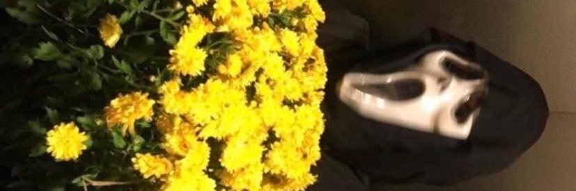 EddLemuss's profile banner image