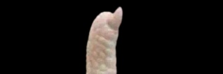 Rodry_Correa's profile banner image