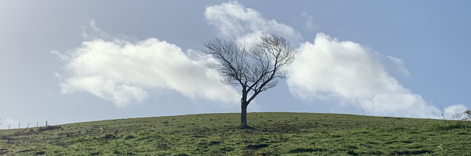 canoftroy's profile banner image