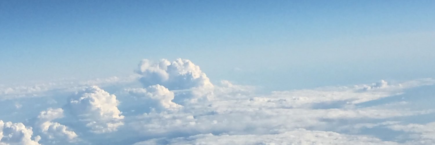 summerriki's profile banner image