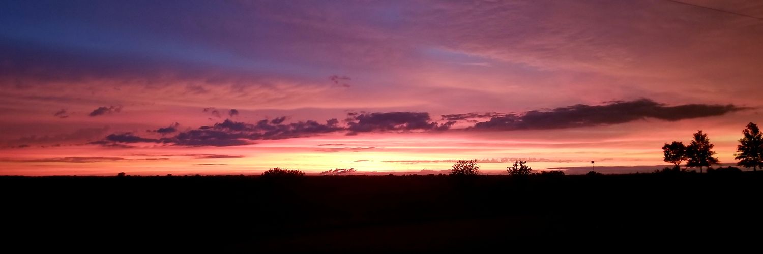 MollyHowey's profile banner image