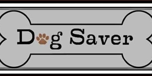 DogSaverRescue's profile banner image