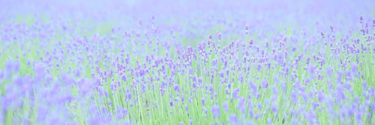 dolami7788's profile banner image