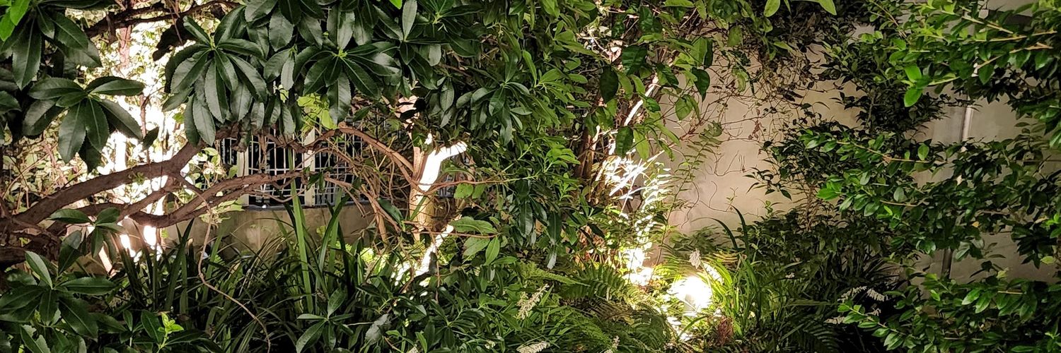 koala1997529's profile banner image