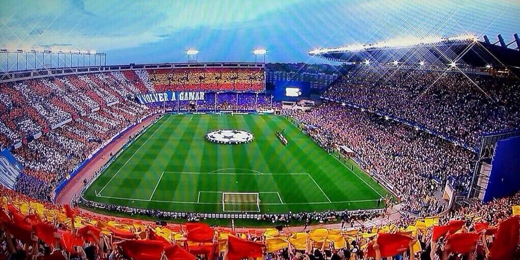 JoniCedillo14's profile banner image