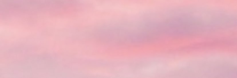 arlenevng's profile banner image