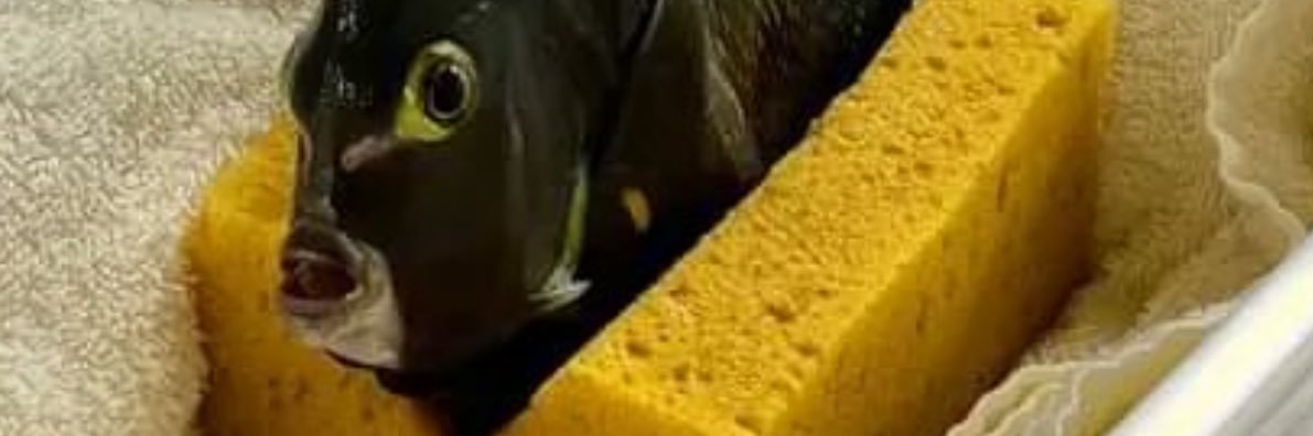 tracyjust's profile banner image