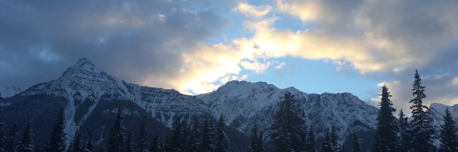 samarawittmannn's profile banner image