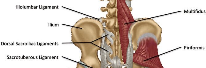 neuroconnective's profile banner image