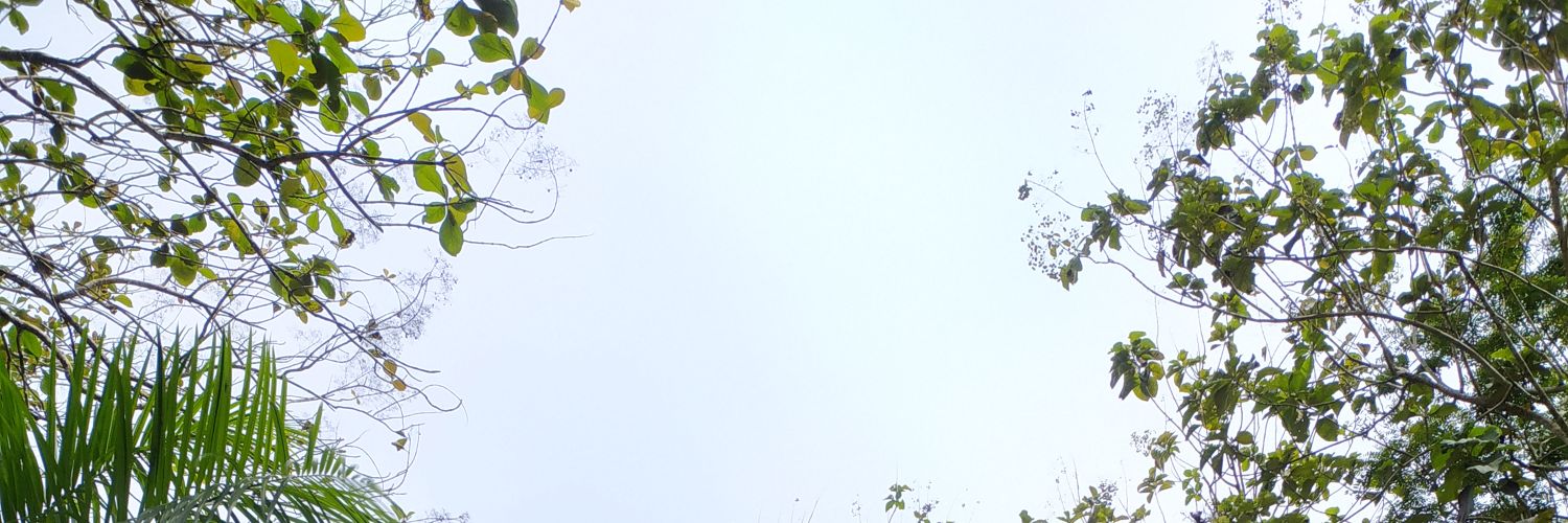 yuliacitr_'s profile banner image