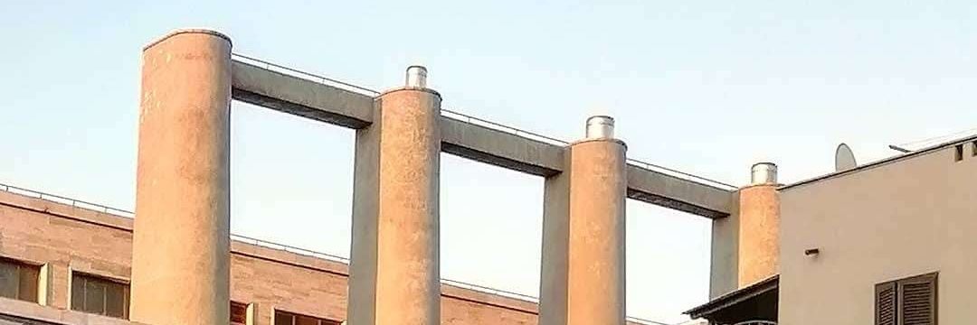 Maria Teresa Carbone banner