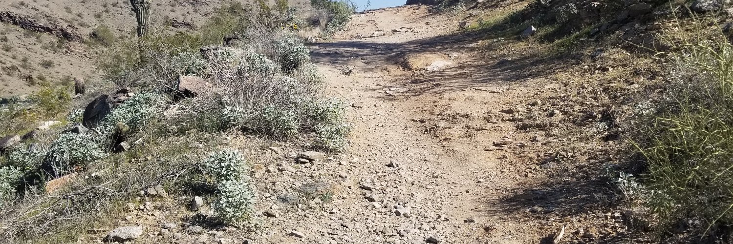 Annette Johnson 🌻💙💛🌊🇺🇸 UK Wildcats!😻💙 banner