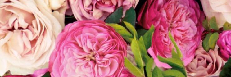RSeitsinger's profile banner image
