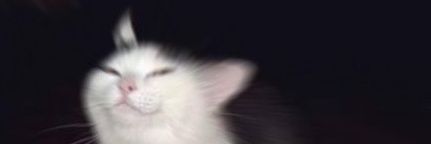 Wknknkbt's profile banner image