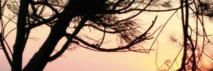 Silviavi_18's profile banner image