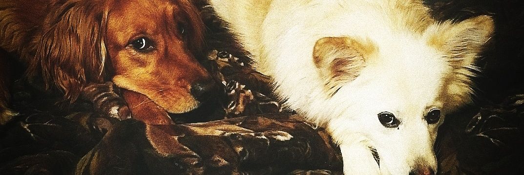 BradyLarson93's profile banner image