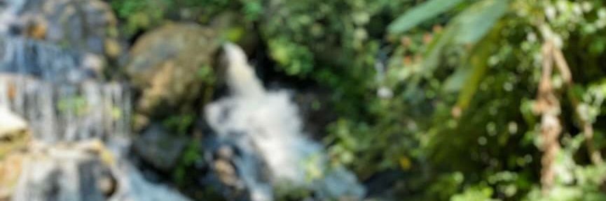 elendure41's profile banner image
