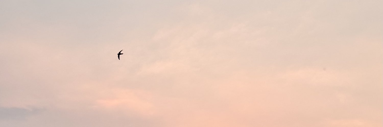 TerkNTW's profile banner image