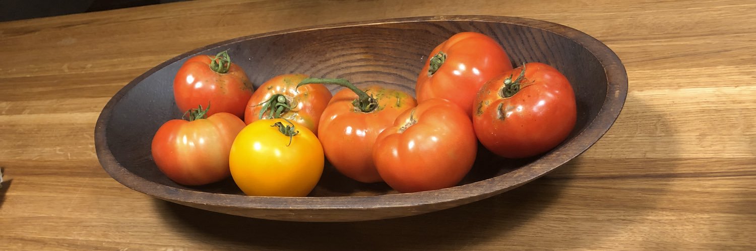 Barbara Fields banner