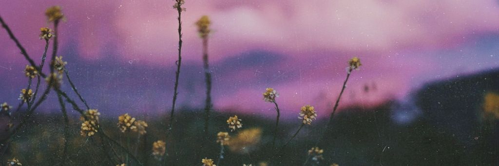 isthatcor's profile banner image