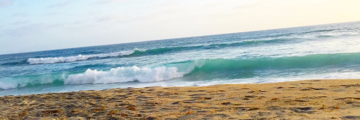 Jilleen banner