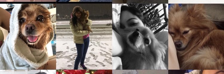 lizethchdz's profile banner image